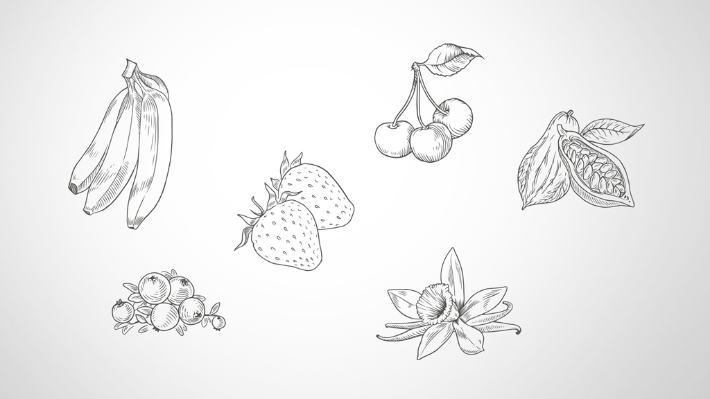 trio_slide_1024_illustraition.png