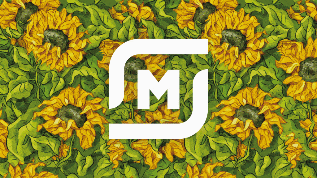 Magnit_SPB_case_1024x576-12.gif